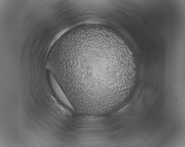 X0000076070829200610202012