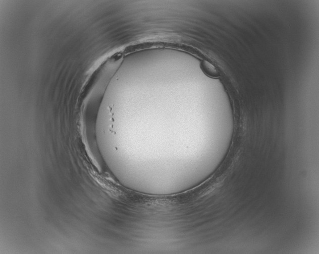 X0000076070830200610202012