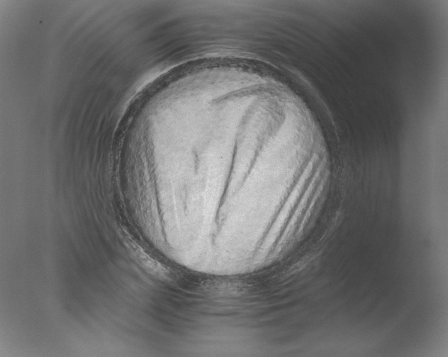 X0000076070831200610202012