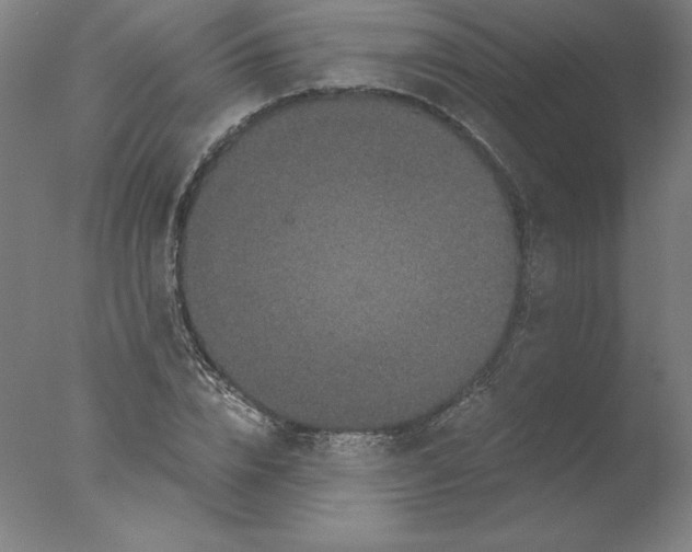 X0000076070832200610202012