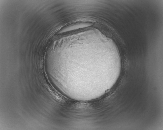 X0000076070833200610202012