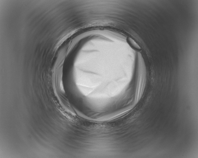 X0000076070834200610202012