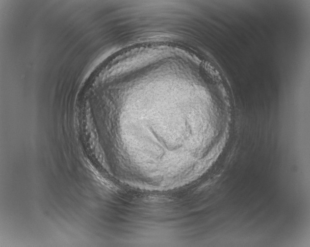 X0000076070835200610202012