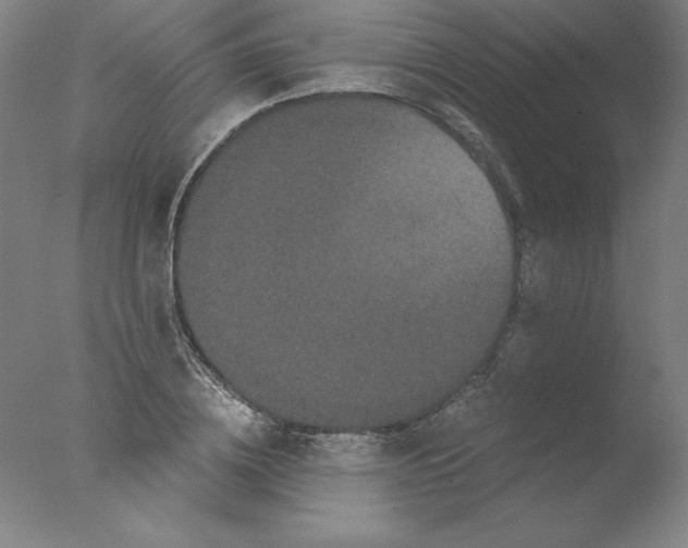 X0000076070836200610202012