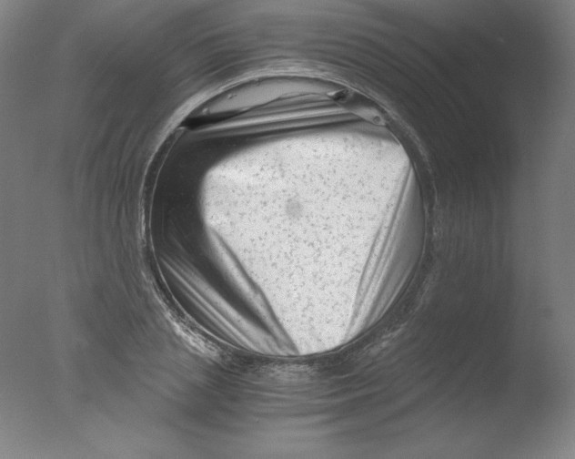 X0000076070837200610202012