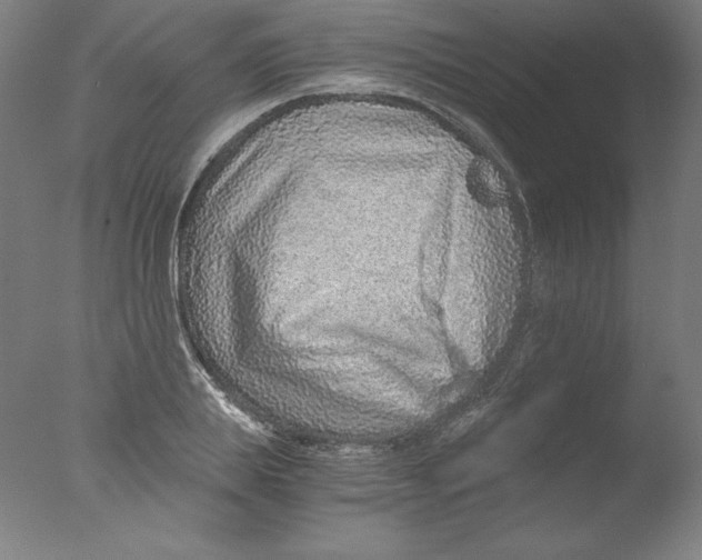 X0000076070839200610202012