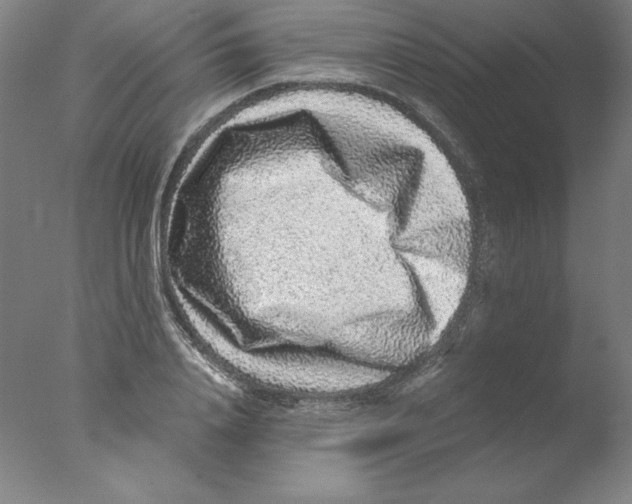 X0000076070840200610202012