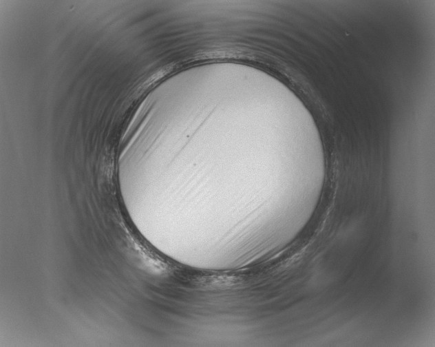 X0000076070841200610202012