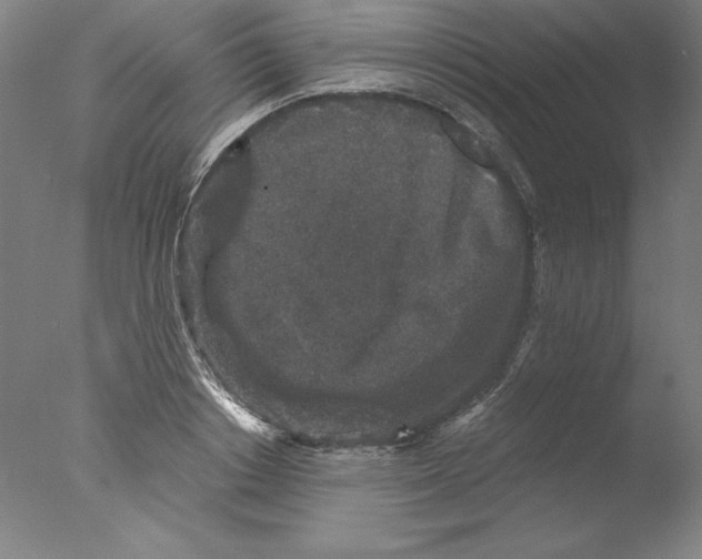 X0000076070842200610202012