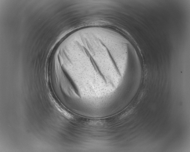 X0000076070843200610202012