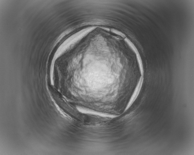 X0000076070845200610202012