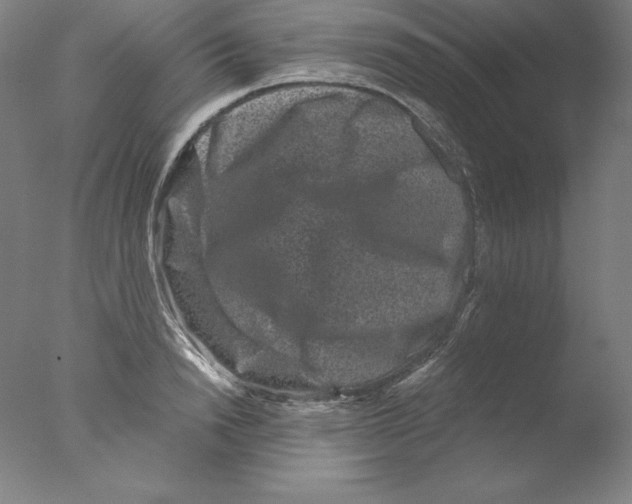 X0000076070846200610202012