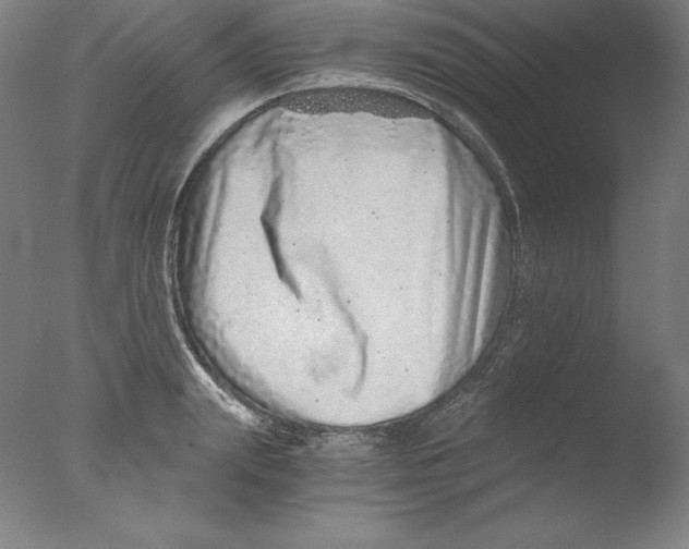 X0000076070847200610202012