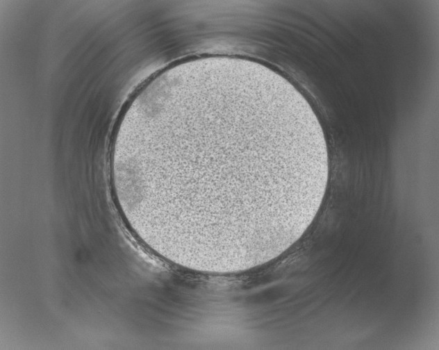 X0000076070848200610202012