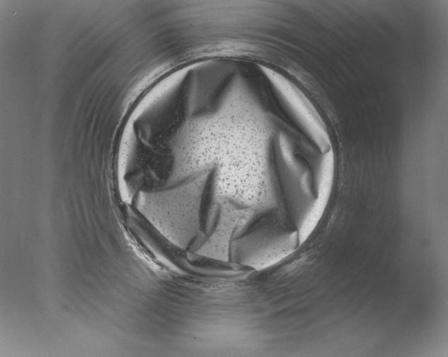 X0000076070850200610202012