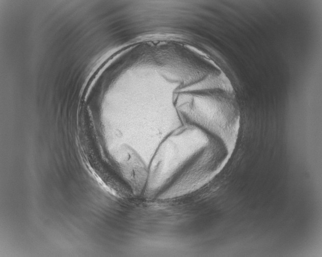 X0000076070852200610202012