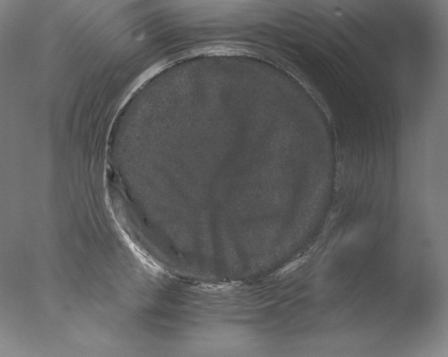 X0000076070853200610202012