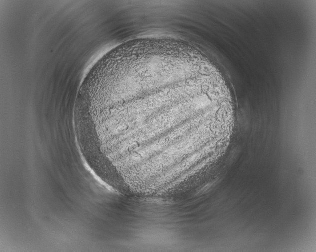 X0000076070855200610202012