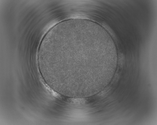 X0000076070856200610202012