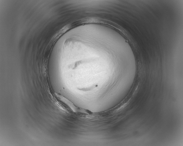 X0000076070857200610202012