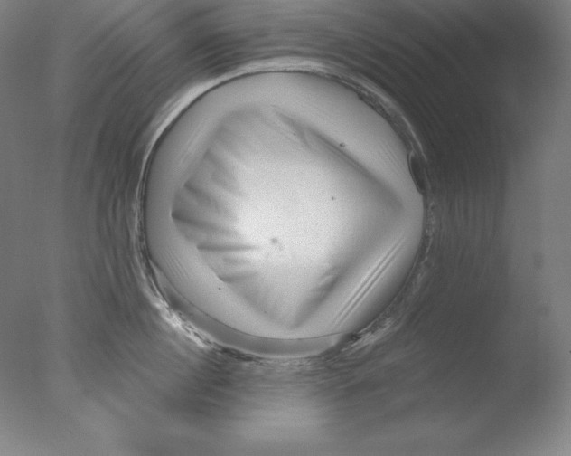 X0000076070860200610202012