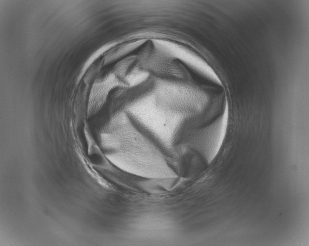 X0000076070862200610202012