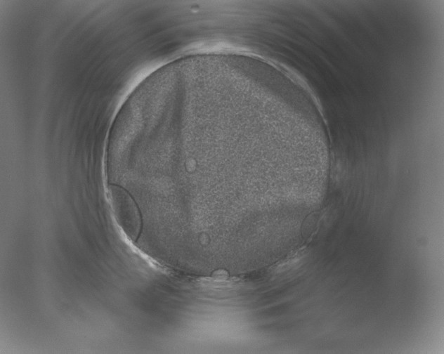 X0000076070863200610202012