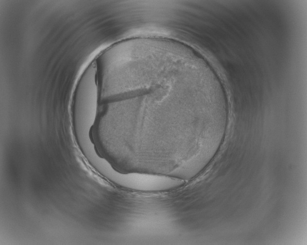 X0000076070864200610202012