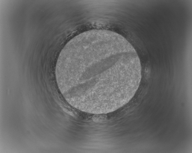 X0000076070865200610202011