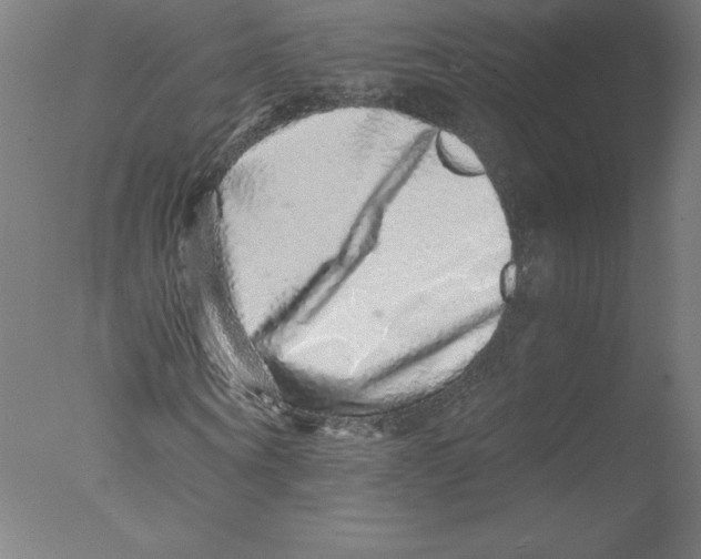 X0000076070866200610202011