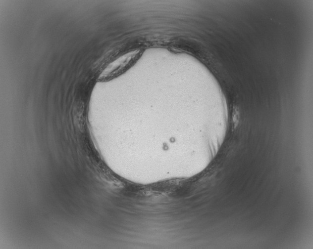 X0000076070867200610202011