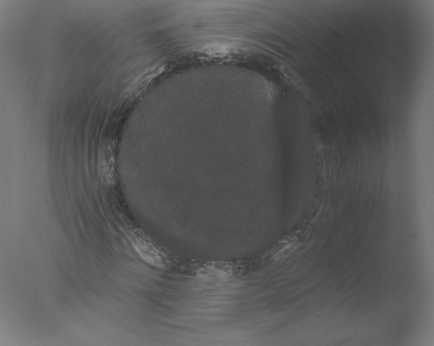 X0000076070868200610202011