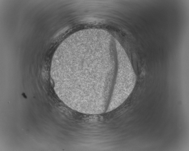 X0000076070869200610202011