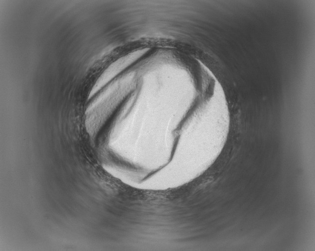 X0000076070870200610202011