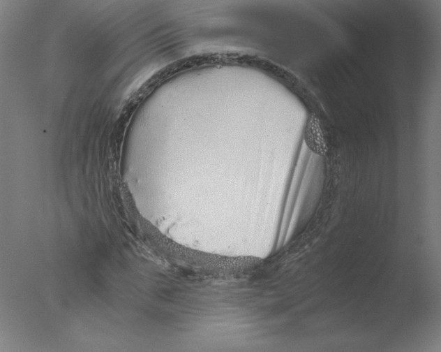 X0000076070871200610202011