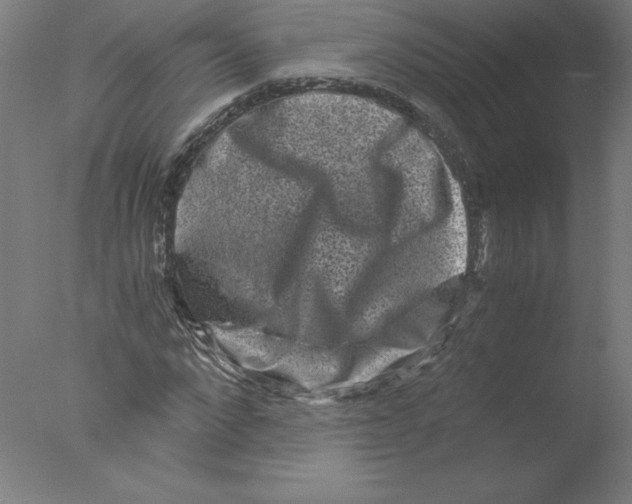 X0000076070872200610202011