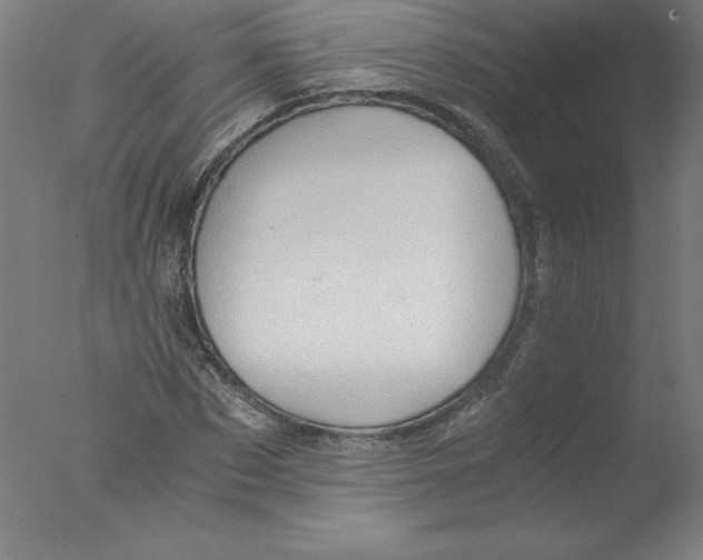 X0000076070873200610202011