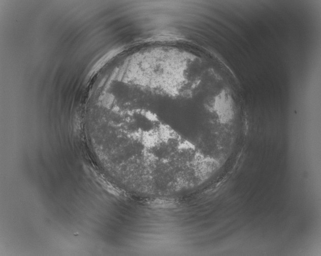 X0000076070874200610202011