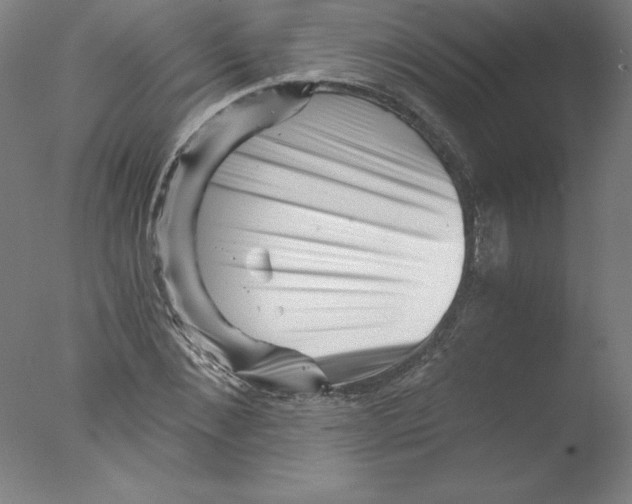 X0000076070876200610202011