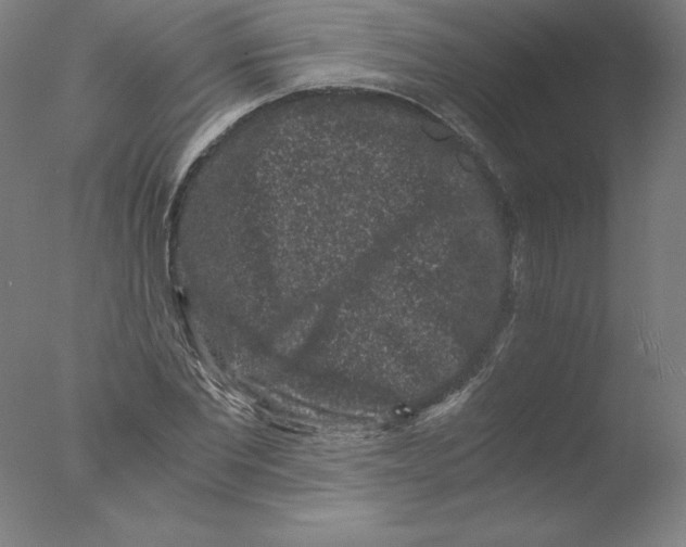 X0000076070877200610202011