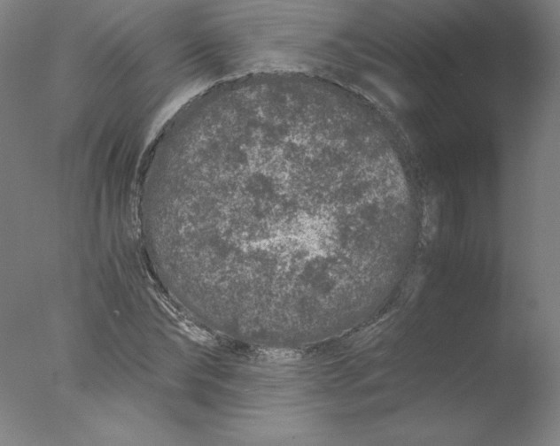 X0000076070878200610202011