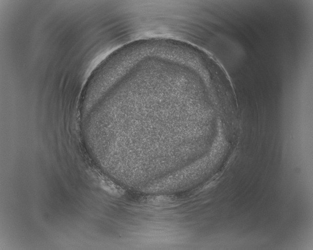 X0000076070879200610202011