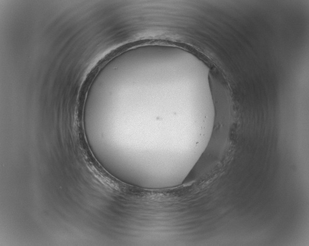 X0000076070880200610202011