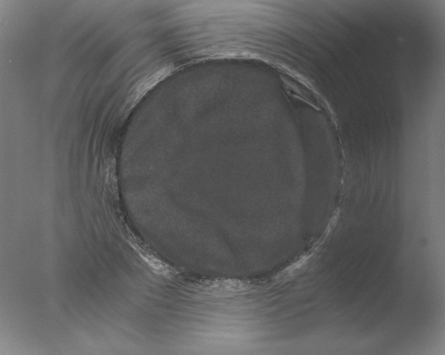 X0000076070881200610202011