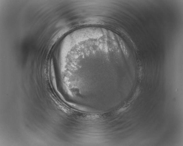 X0000076070882200610202011