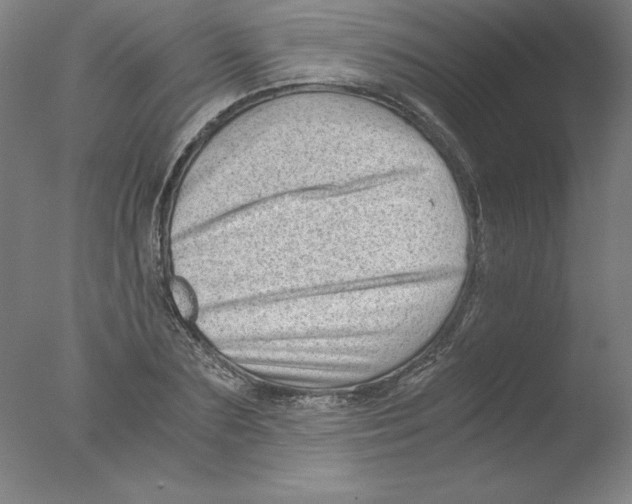 X0000076070883200610202011