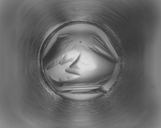 X0000076070884200610202011