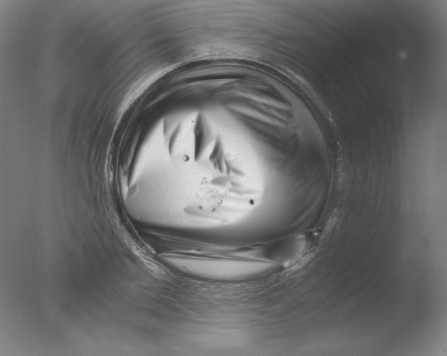 X0000076070885200610202011