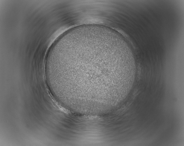 X0000076070886200610202011