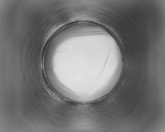 X0000076070887200610202011